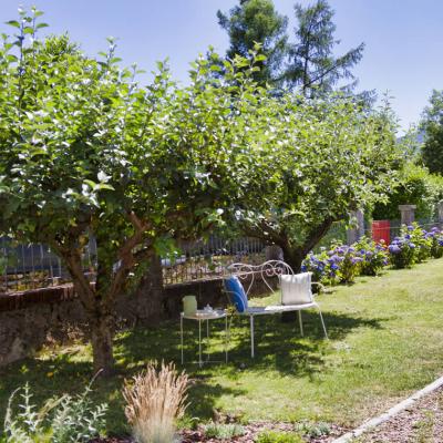 Giardino